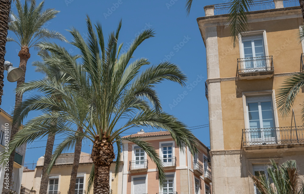 View of palm trees and blue sky