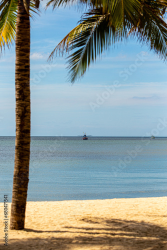 Coconut Palm Trees On the Beach © Rattanasin