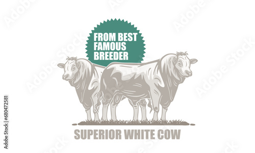 SUPERIOR WHITE CATTLE LOGO, silhouette of strong and big bull standing vector illustrations