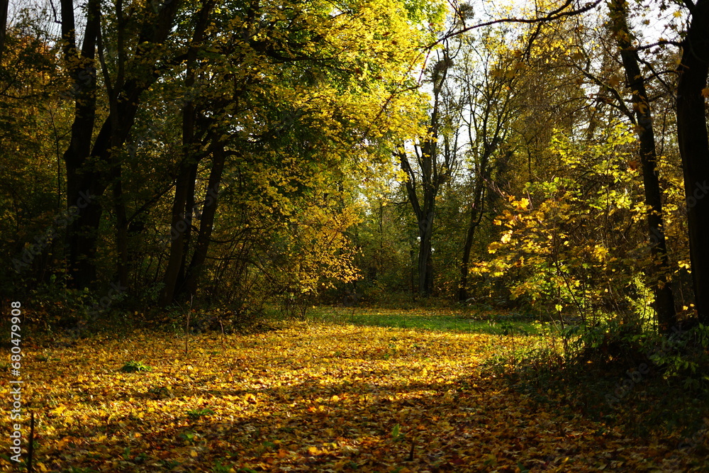 Jesień, autumn, Poland 