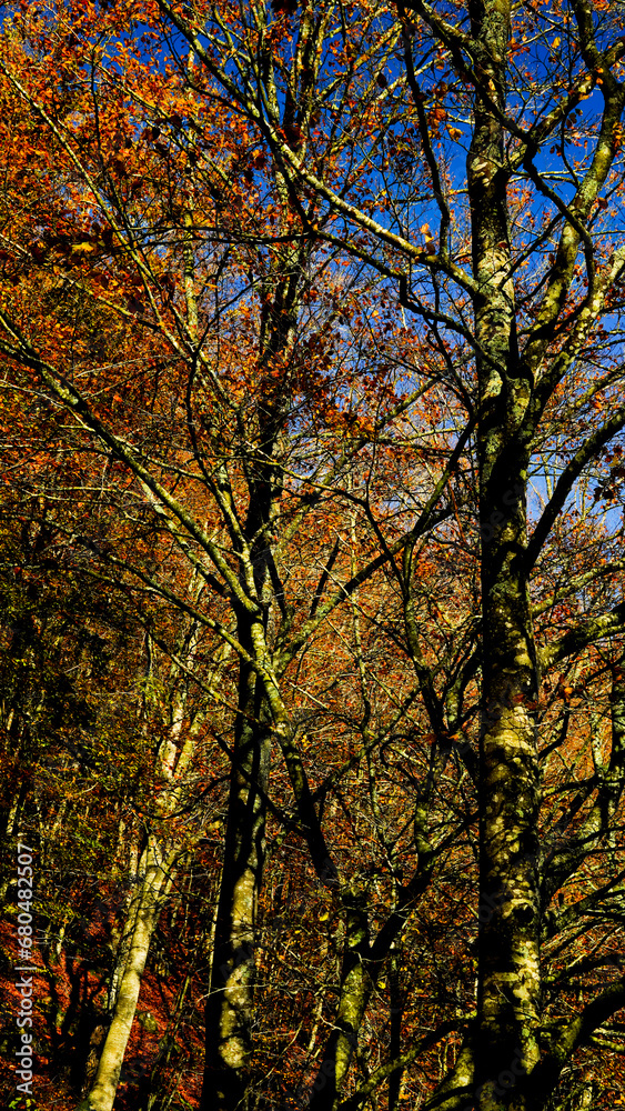 Autunno sull'Appennino Emiliano. Panorami autunnali delle montagne bolognaesi. Bologna, Emilia Romagna. Italia