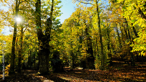 Autunno sull'Appennino Emiliano. Panorami autunnali delle montagne bolognaesi. Bologna, Emilia Romagna. Italia photo