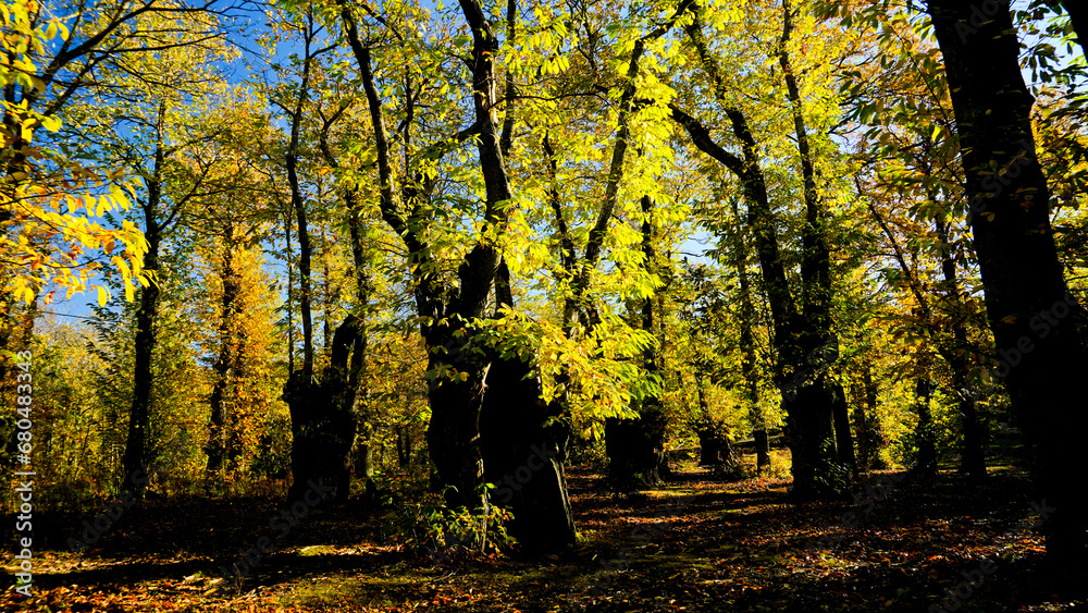 Obraz premium Autunno sull'Appennino Emiliano. Panorami autunnali delle montagne bolognaesi. Bologna, Emilia Romagna. Italia