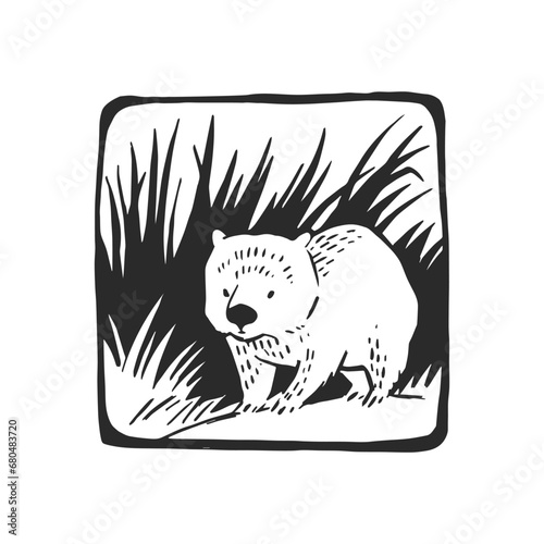 Vector hand-drawn illustration of wombat on grass isolated on white. Stamp with wild Australian animal in sketch style.