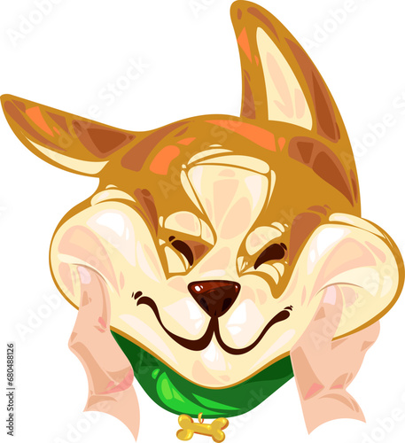 squeezing the chubby cheeks of a pembroke Welsh corgi puppy