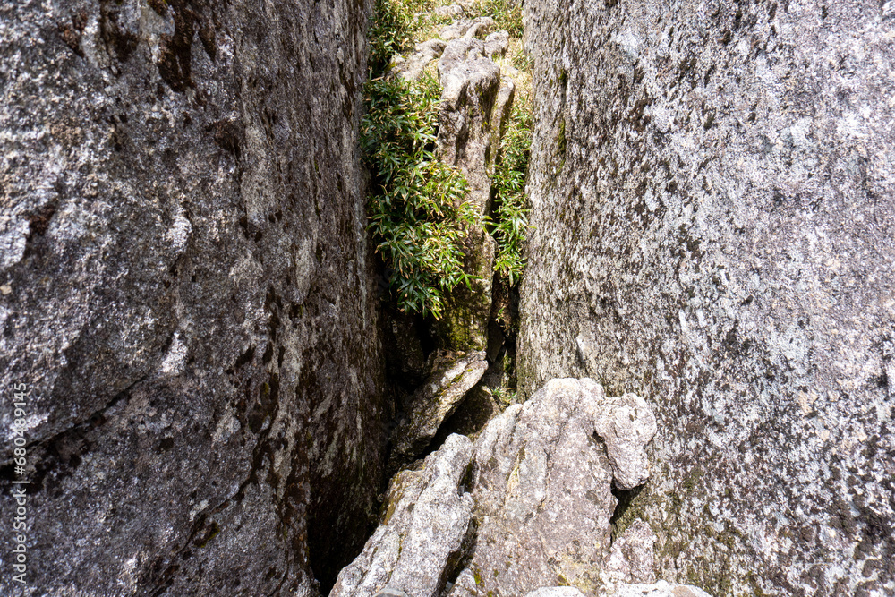Nagatadake on Yakushima Island and the surrounding landscape