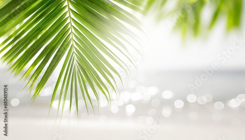 Blur beautiful nature green palm leaf on a tropical beach with bokeh sun light abstract texture background.