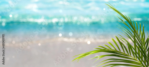 green palm leaf on blurred bokeh light water wave background  nature sand beach scene with copy space for travel  holidays and relaxation