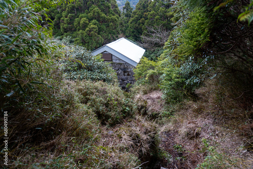 Shikanosawa Hut on Yakushima Island