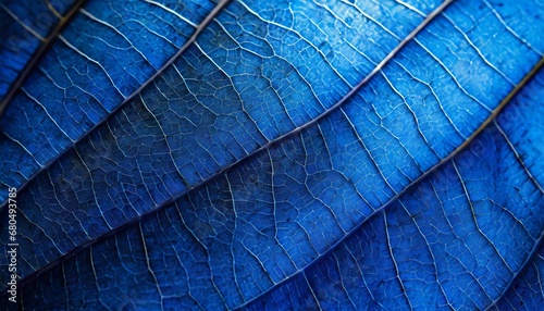 Blue leaf texture background.