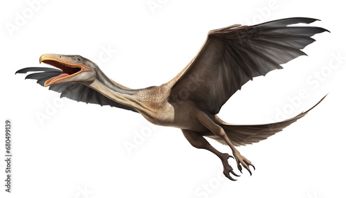 Flying Pterodactyl Concept Isolated on Transparent Background  © RenZen