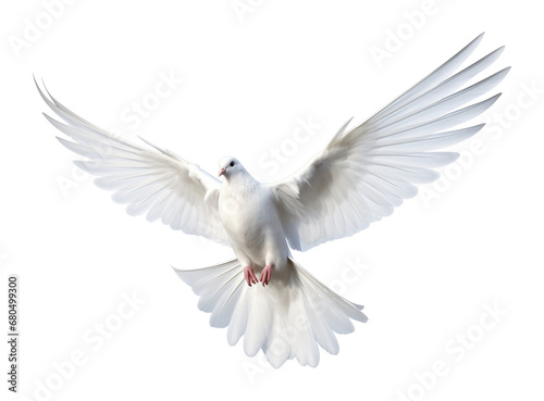 Dove Flying Isolated on Transparent Background 