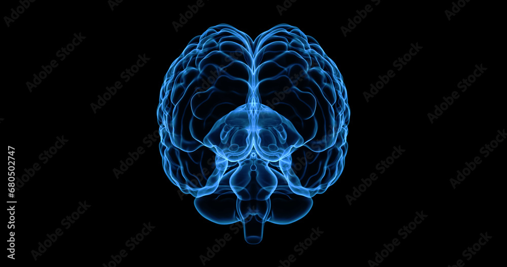 Brain X-Ray on Black Background. Hologram glow blue light Xray of Digital Brain Concept. Science Technology Anatomy Medicine Brain X-Ray on Black Background. Hologram glow blue light Xray of Digital Brain Concept. Science Technology Anatomy Medicine