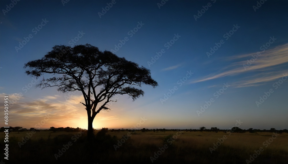Alone tree on the left in the savanna against a black silhouette background of a stunning sunset.