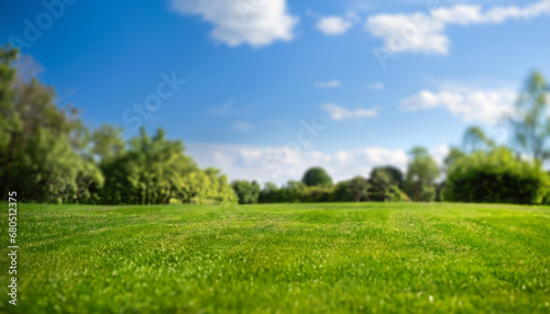 Fresh green grass. Lawn background in sunny summer day.