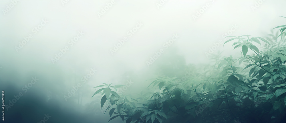 actract green plant, nature wallpaper with empty copy space actract green plant, nature wallpaper with empty copy space