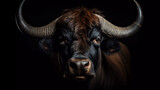 Portrait of a Buffalo on a black background
