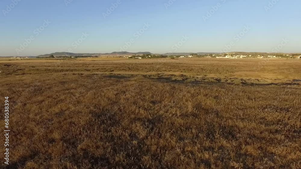 Drone view in flight backwards of the dune area of the beach with vegetation at sunset Drone view in flight backwards of the dune area of the beach with vegetation at sunset