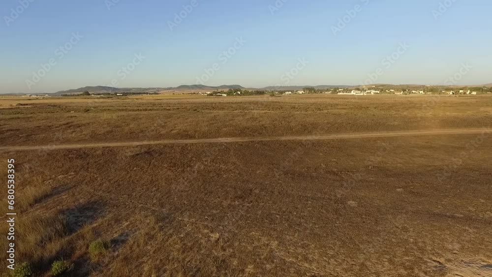 Drone view in flight backwards of the dune area of the beach with vegetation at sunset Drone view in flight backwards of the dune area of the beach with vegetation at sunset
