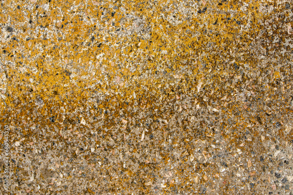 Orange Green And Black Lichen On Rock Orange Green And Black Lichen On Rock