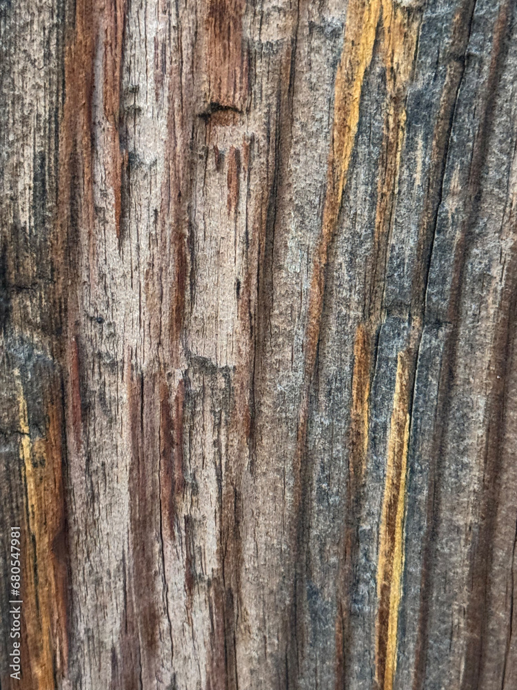 close-up macro shot of aged wood texture with beautiful wood grain close-up macro shot of aged wood texture with beautiful wood grain