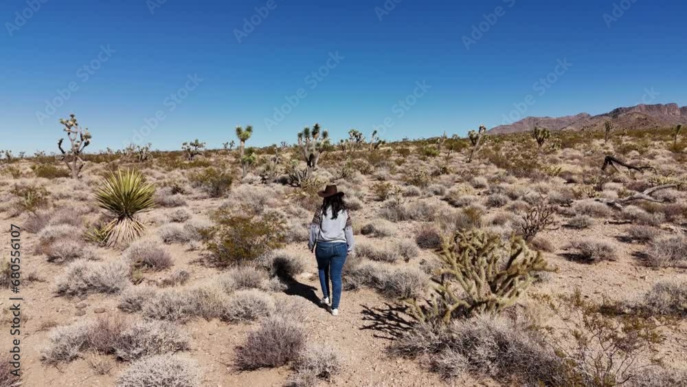Young woman walks as a cowgirl through the lonesome desert of Nevada - aerial view - aerial photography Young woman walks as a cowgirl through the lonesome desert of Nevada - aerial view - aerial photography