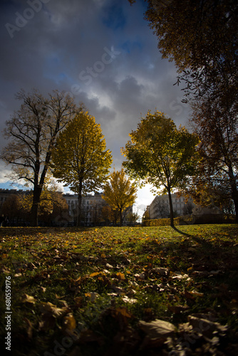 Otoño amarillo