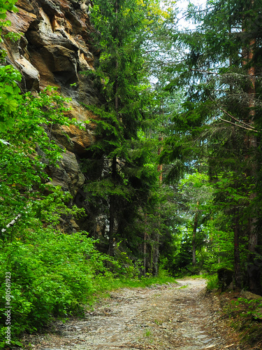 Vertical panorama of a gravel road winding through dense spruce forests, along sharp cliffs and eroded mountainsides. Carpathia, Romania.
