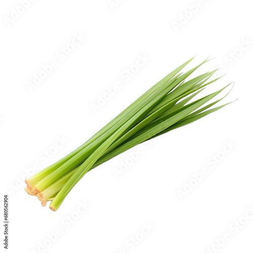 Celery Plant