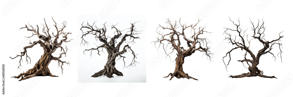Dead tree for Halloween on a transparent background