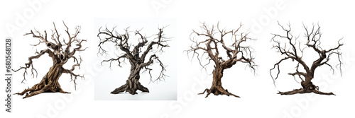Dead tree for Halloween on a transparent background