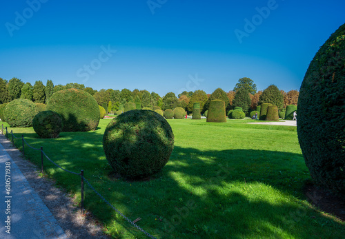 Garden with green lawn and decorative bushes © Denis