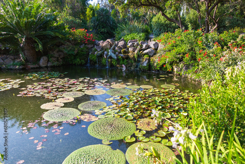 Giardini la Mortella ad Ischia. Laghetti, piante, fiori da tutto il mondo. Una vegetazione rigogliosa e un paesaggio naturale photo