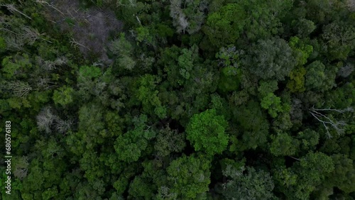 Aerial drone footage: Transition from pristine native forest to a timber storage yard in the brazilian Amazon rainforest photo