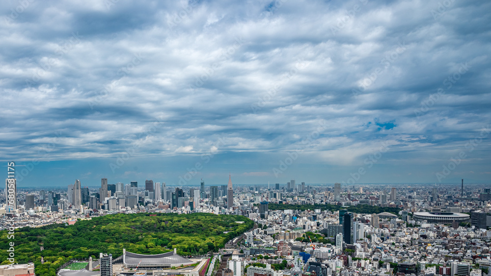 Fototapeta premium Tokyo skyline overlooking Shibuya and Shinjuku