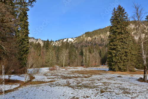 Germany Winter forest in the Oberammergau region on a sunny winter day