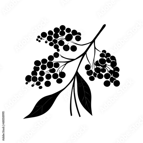Slika na platnu elderberry silhouette isolated vector