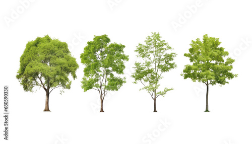 set of green tree isolated on transparent background cutout