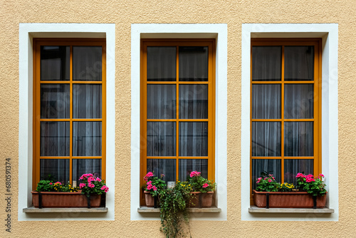 Three rectangular windows with flowers on the windowsill, with orange frames on a beige wall background. From the Windows of the world series.