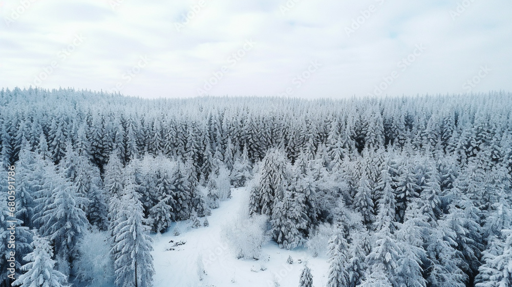 A landscape photo of forest, covered in snow A landscape photo of forest, covered in snow