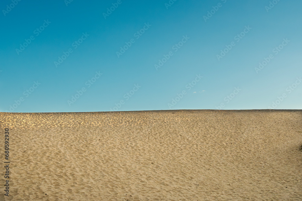 Naklejka premium 砂漠 砂丘 青空 風景