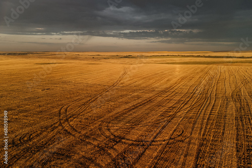 a mown wheat field in the gloomy dawn light photo