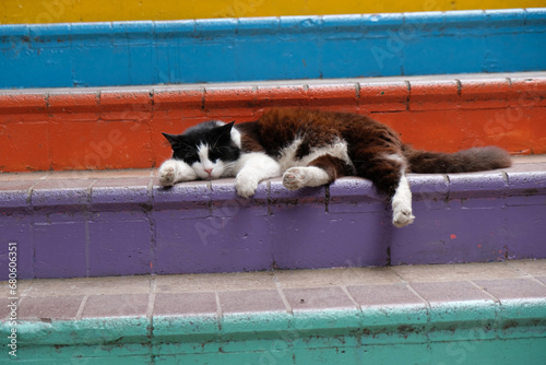 cat sleeps on the stairs, Istanbul