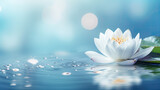 white lotus flower on the water, Zen lotus flower in water illuminated by daylight on white blur copy space background
