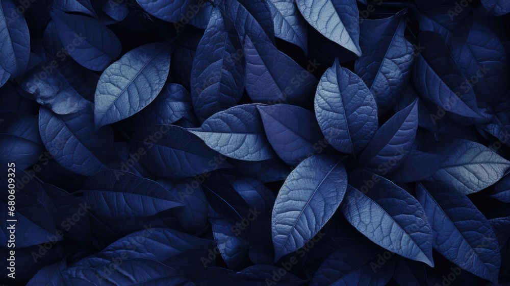 blue spring leaves texture background blue spring leaves texture background