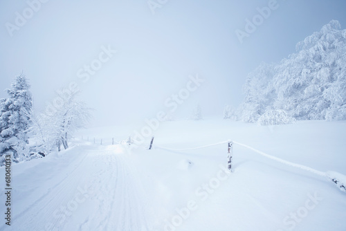 Krajobraz zimowy w górach, białe zaśnieżone drzewa © anettastar