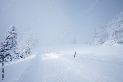 Fototapeta Naklejka Na Ścianę i Meble -  Krajobraz zimowy w górach, białe zaśnieżone drzewa