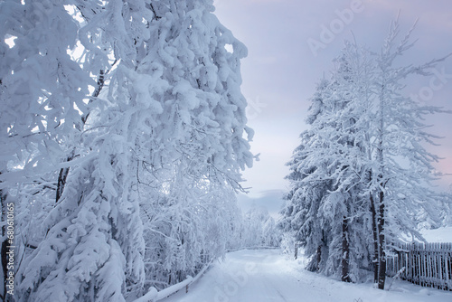 Krajobraz zimowy w górach, białe zaśnieżone drzewa