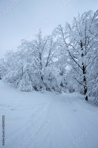 Krajobraz zimowy w górach, białe zaśnieżone drzewa © anettastar