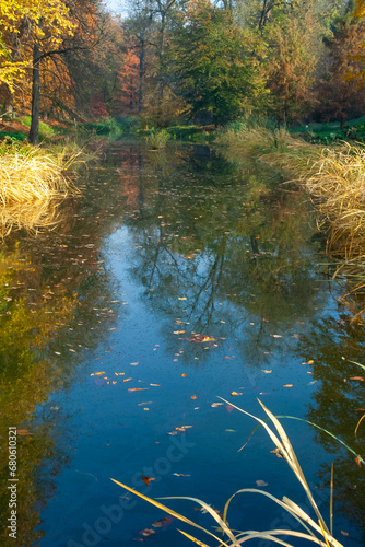 Reflection of trees in the lake in Sofievsky Park in autumn  Uman